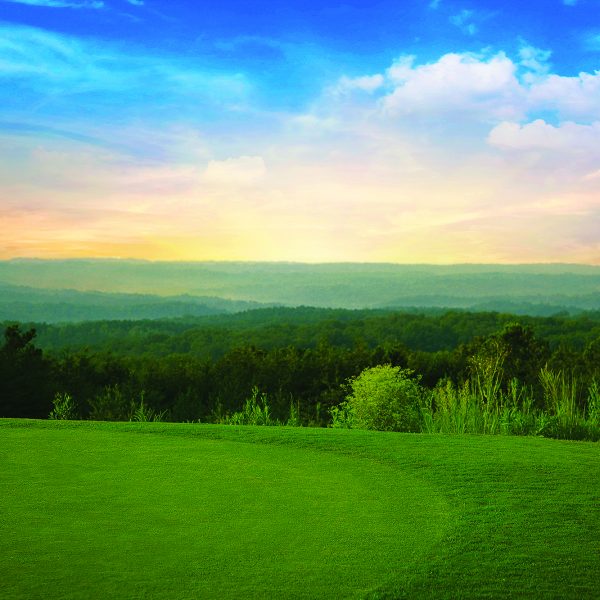 Soleil Belmont Park New Homes Division