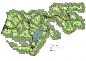 Homestead site plan